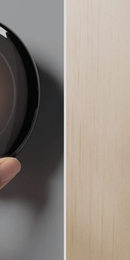 Nest Learning Thermostat vs Nest Thermostat